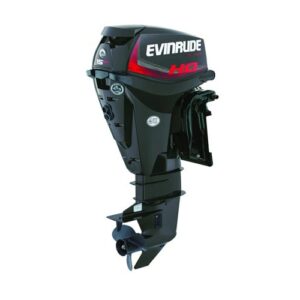 Evinrude E15HPGX E TEC Outboard Motor
