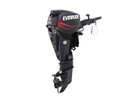 Evinrude E25DGTL E TEC Outboard Motor