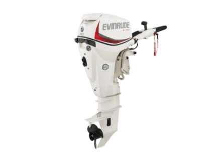 Evinrude E30DPSL E TEC Outboard Motor