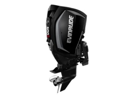 Evinrude H200GXCA 200 HO Outboard Motor
