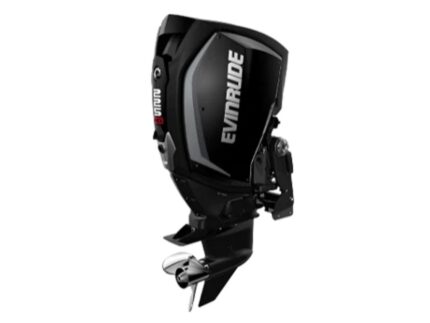 Evinrude H225HGXF 225 HO Outboard Motor