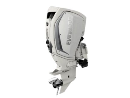 Evinrude H225HWXF 225 H.O Outboard Motor