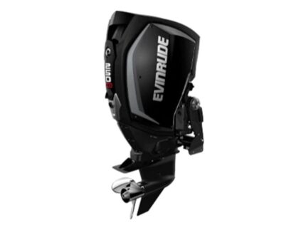 Evinrude H250GXCA 250 HO Outboard Motor
