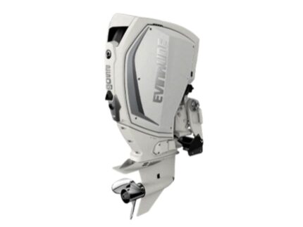 Evinrude H250HWXC 250 HO Outboard Motor